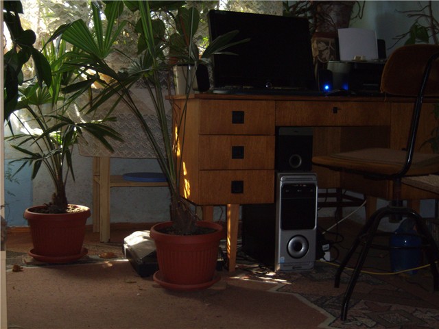 palme